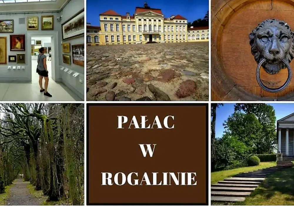 Cennik biletów do pałacu w Rogalinie – poznaj ceny i atrakcje