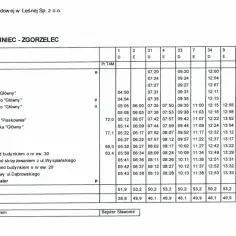 Rozkład jazdy PKS Gozdnica Żagań - godziny odjazdów i ceny biletów