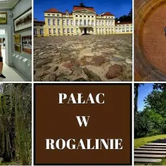 Cennik biletów do pałacu w Rogalinie – poznaj ceny i atrakcje